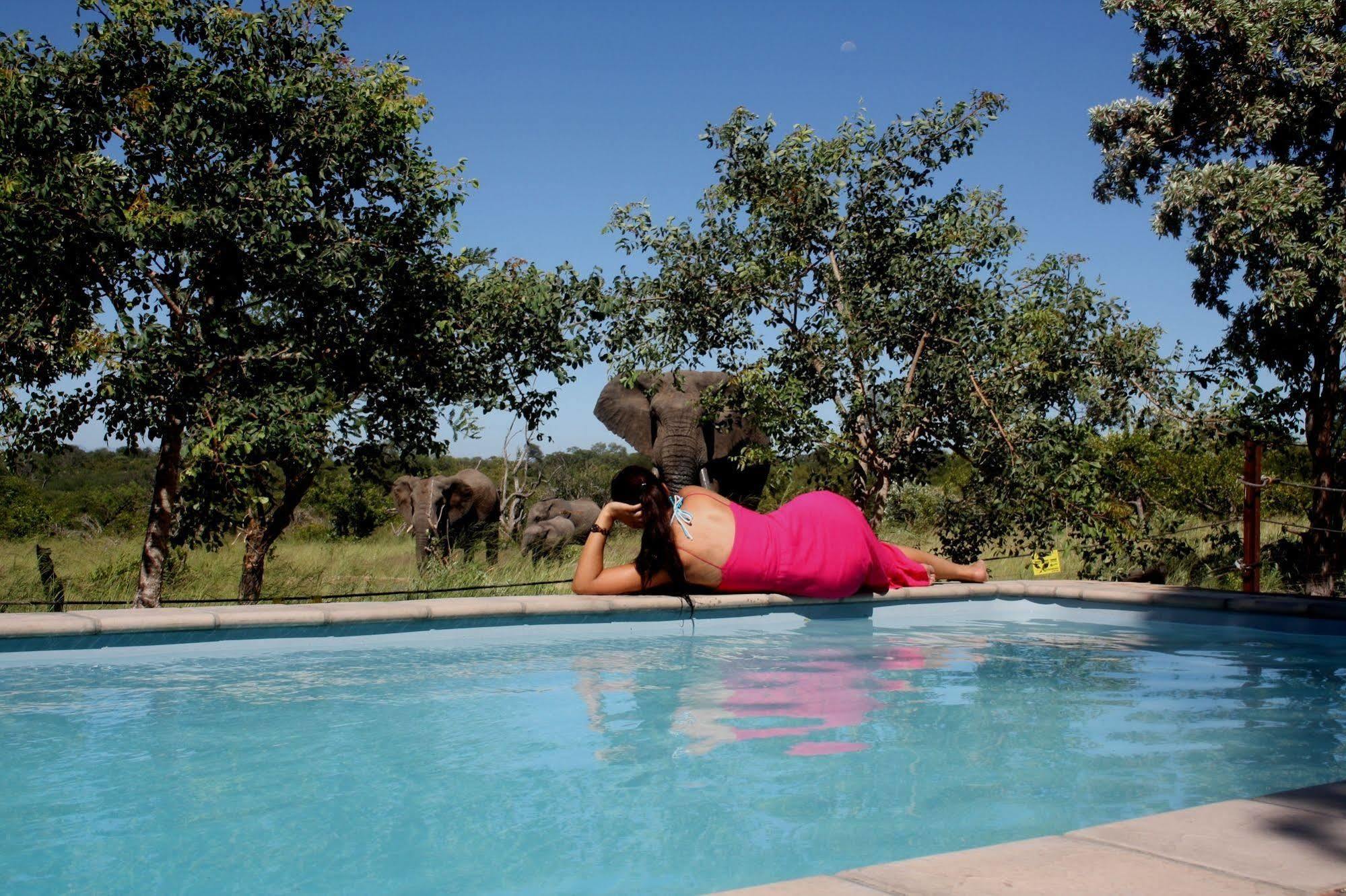 Baobab Ridge Private Lodge Klaserie Private Nature Reserve Eksteriør billede